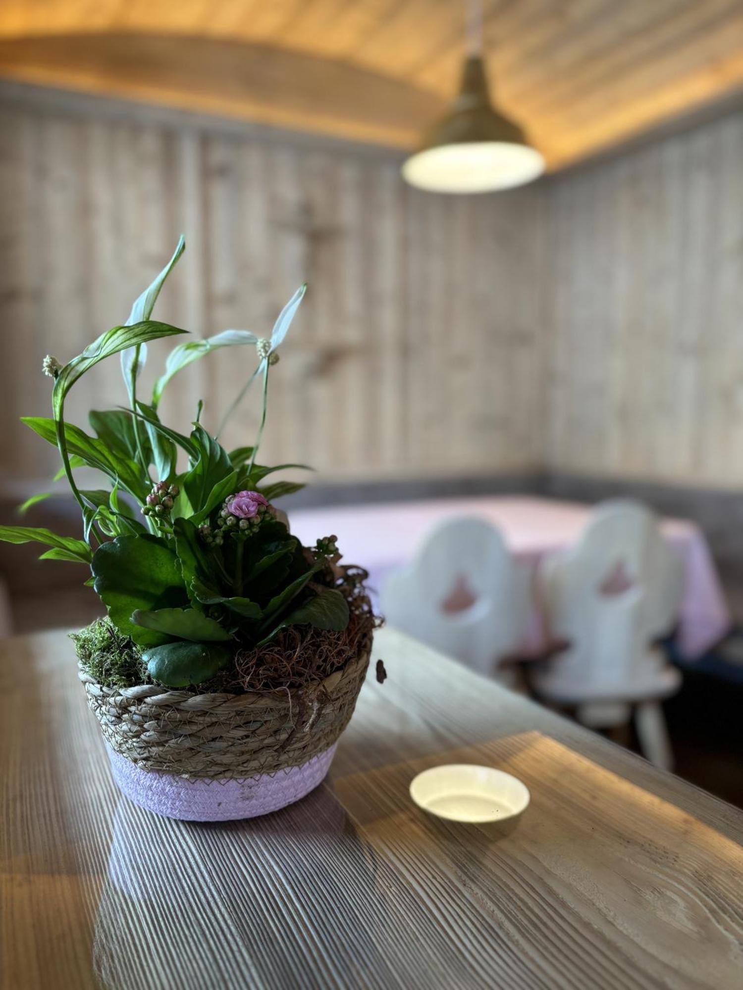 Appartement Rosa Sankt Johann in Tirol Rum bild