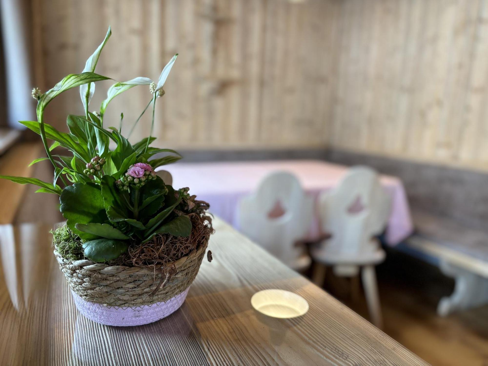 Appartement Rosa Sankt Johann in Tirol Rum bild