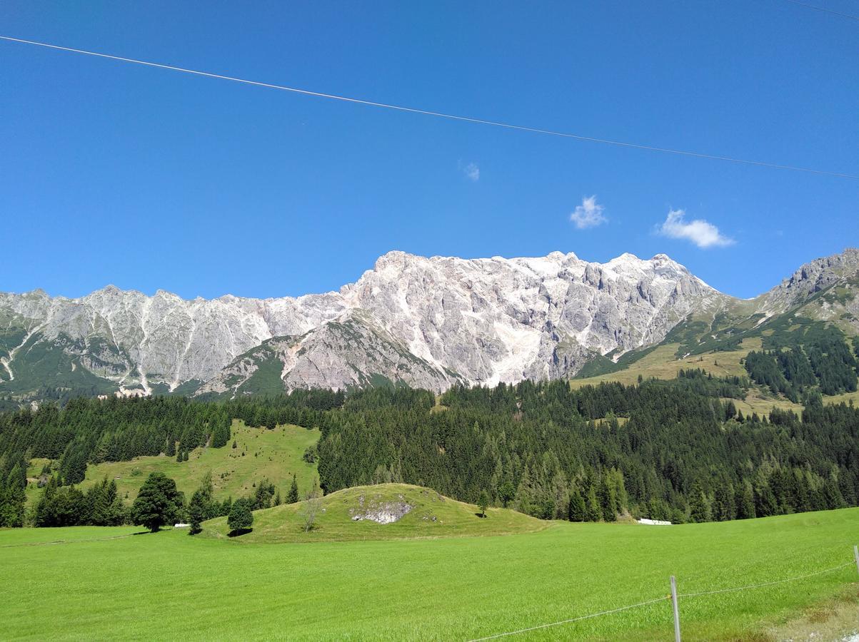 Appartement Rosa Sankt Johann in Tirol Exteriör bild