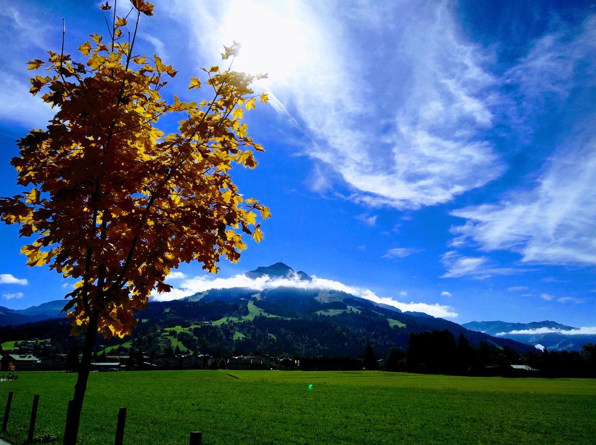 Appartement Rosa Sankt Johann in Tirol Exteriör bild